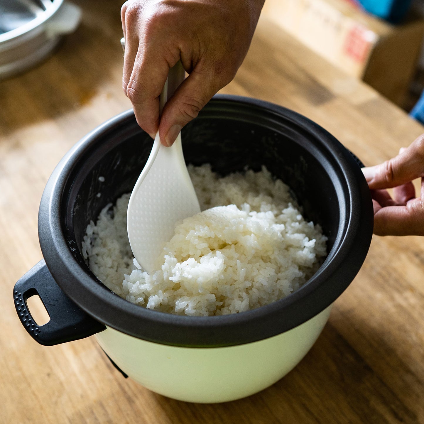 EASY COOKER VOLTON【送料無料】