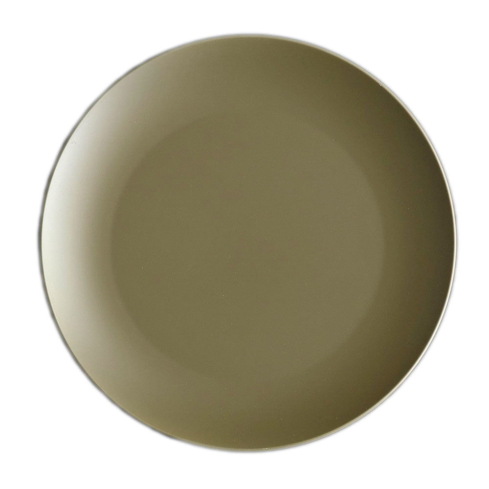 LARGE PLATE