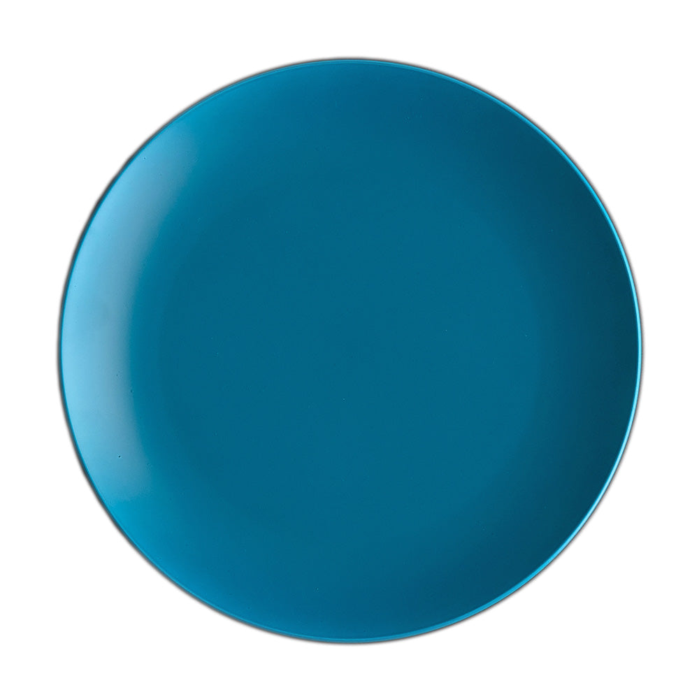 LARGE PLATE