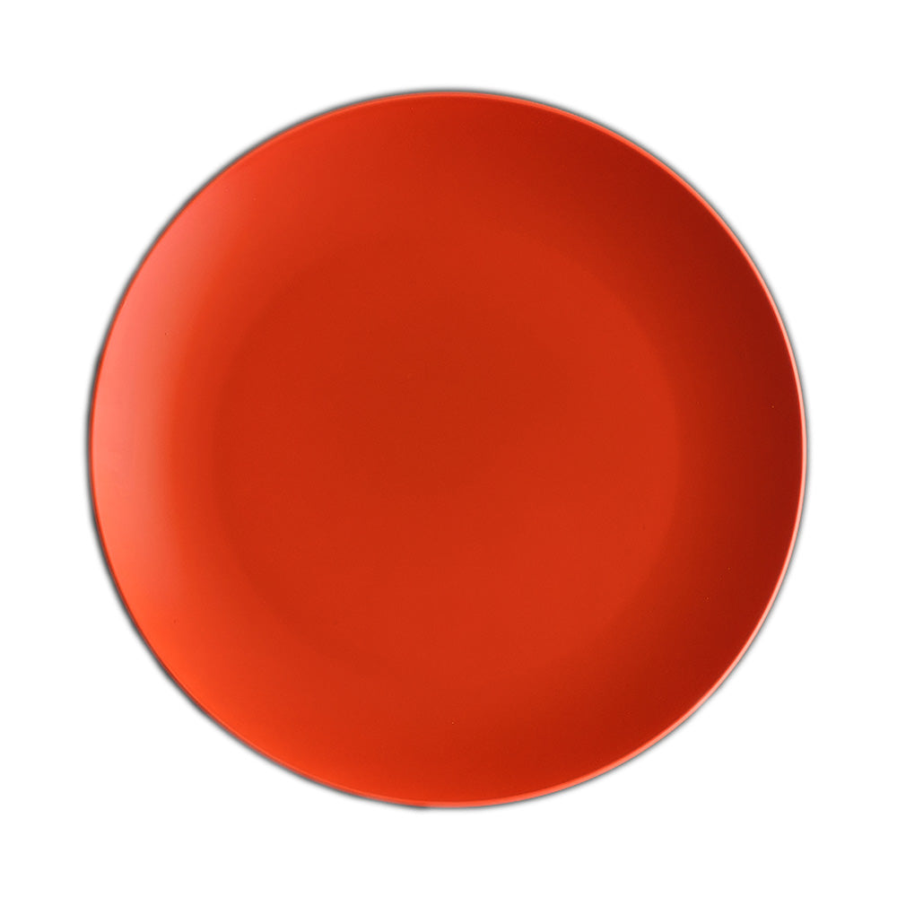 LARGE PLATE