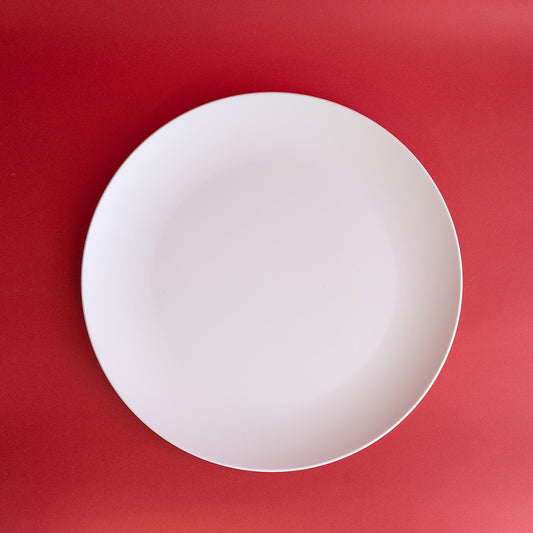 LARGE PLATE